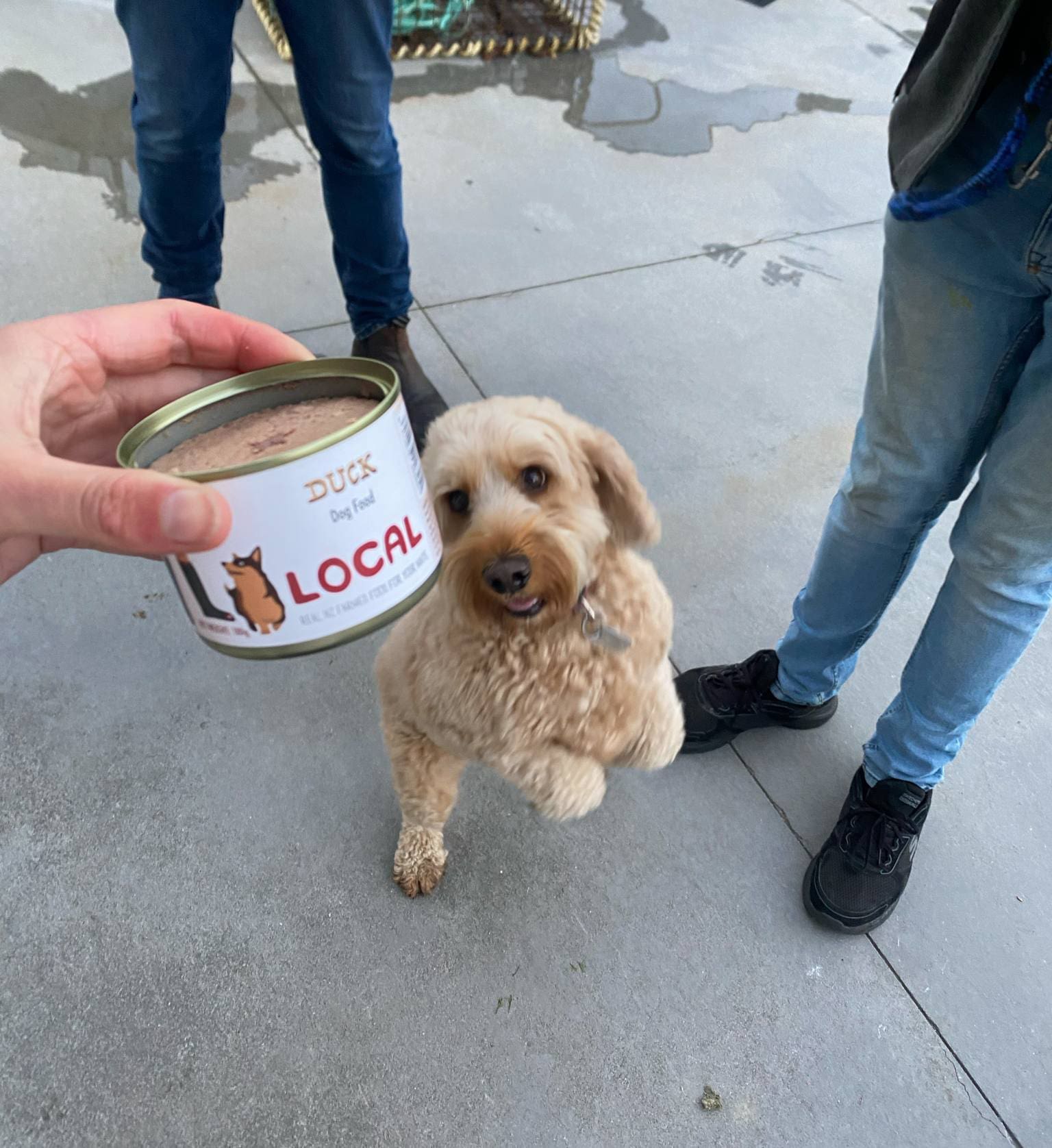 local-pet-food-nz local-pet-food