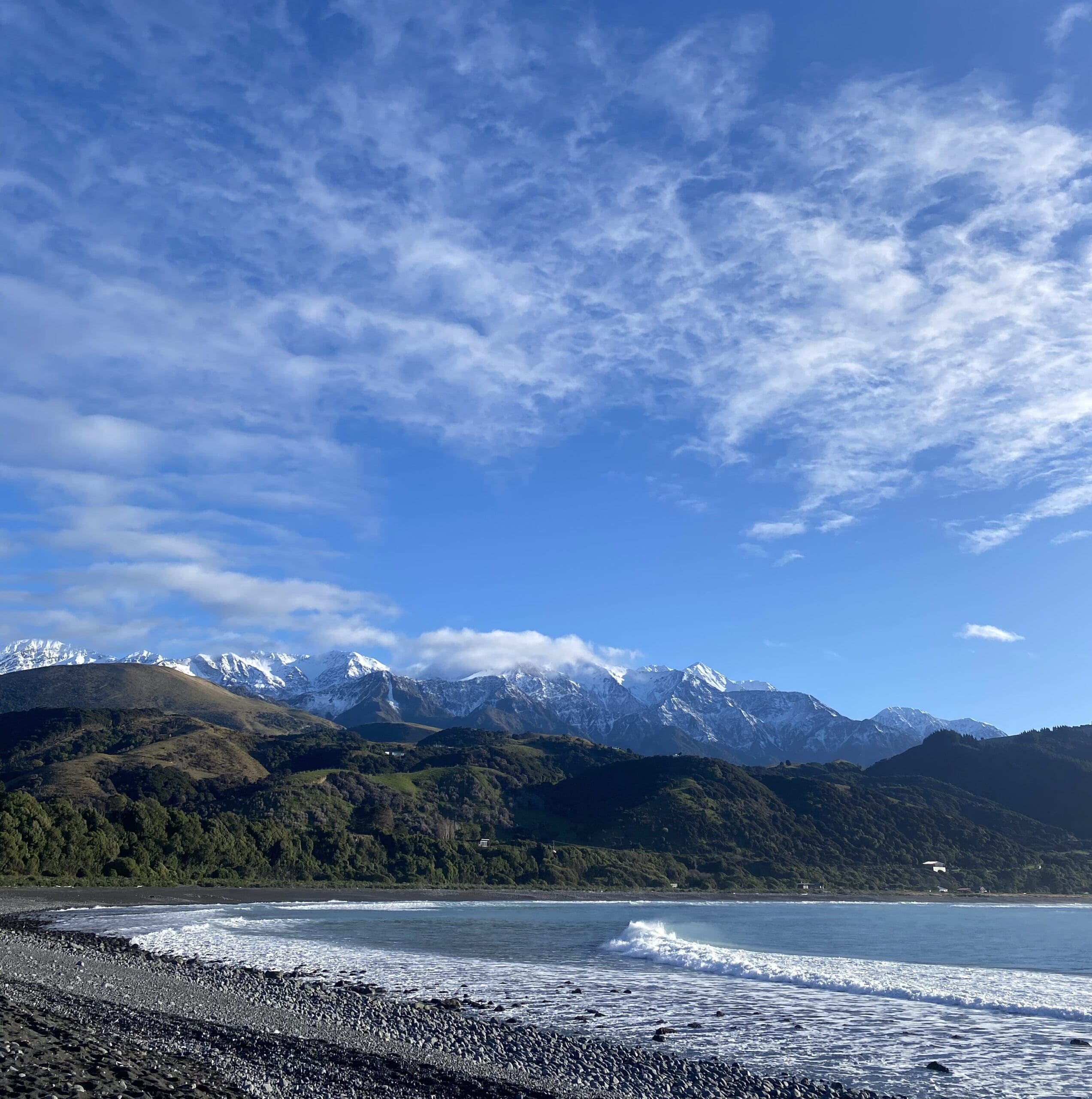 Winter’s Here - How to make winter comfortable for your dog.