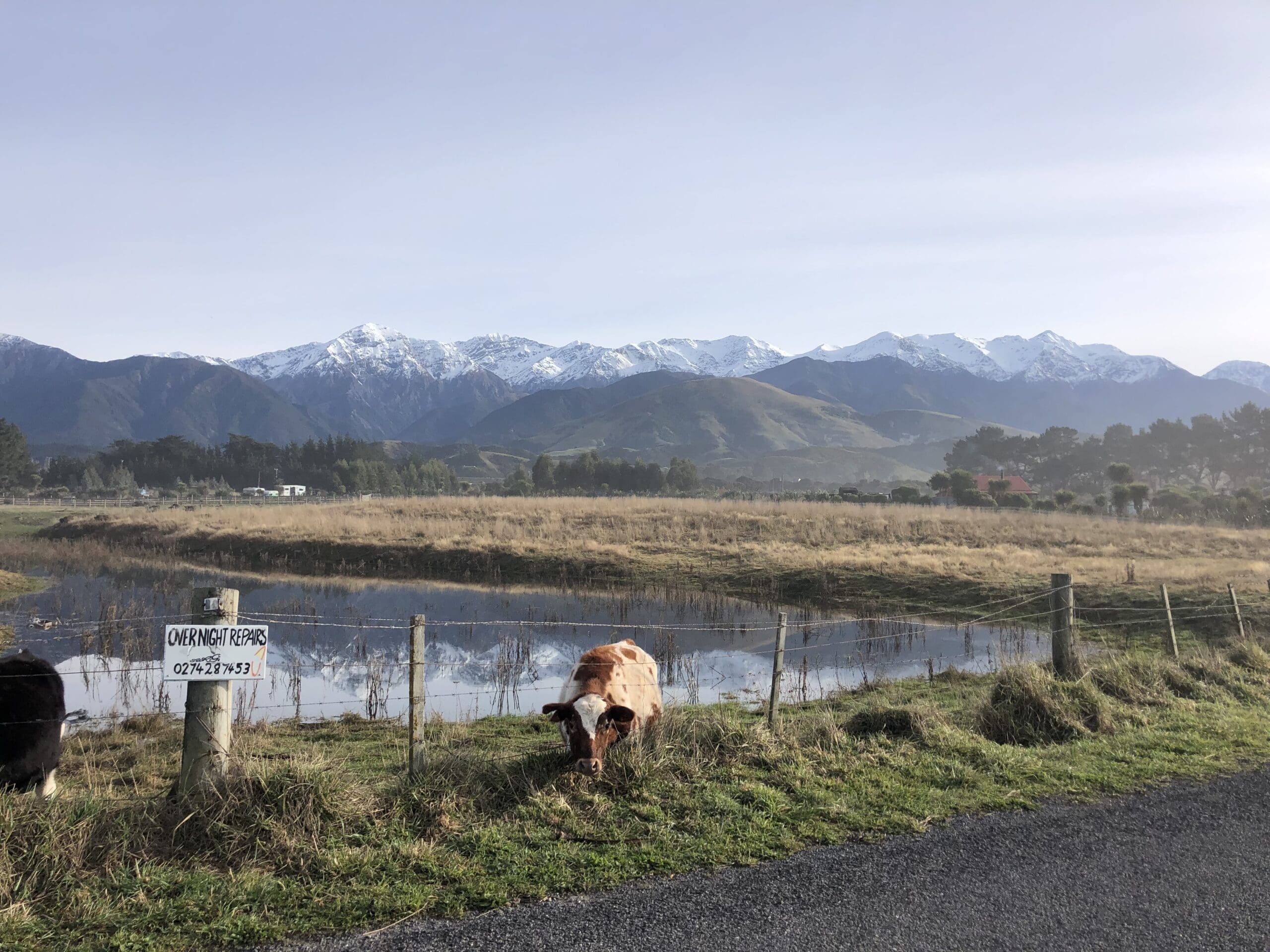 Why Food Miles Matter