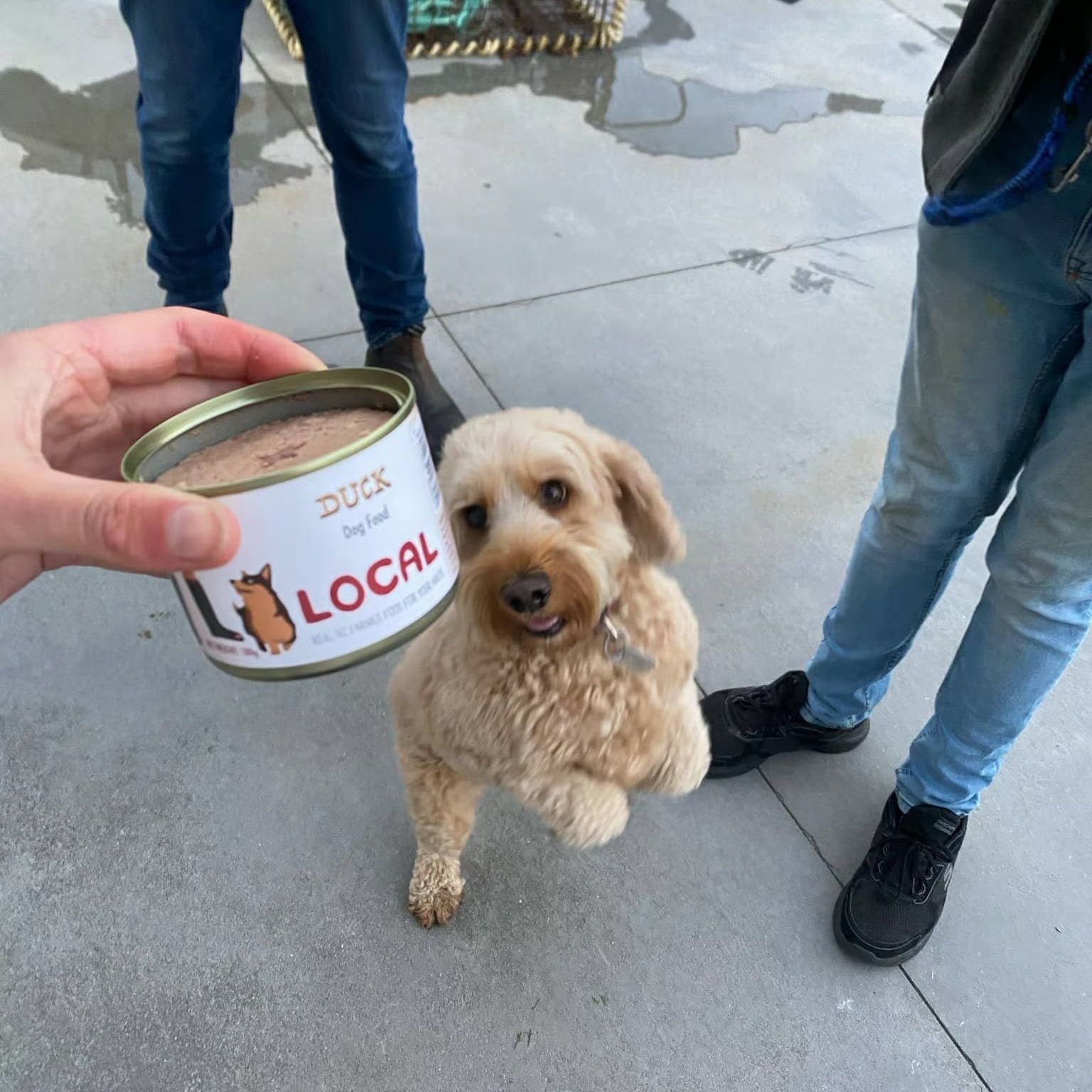 Real NZ Farmed Food for Your Pet - Fresh, Honest, and Locally Made